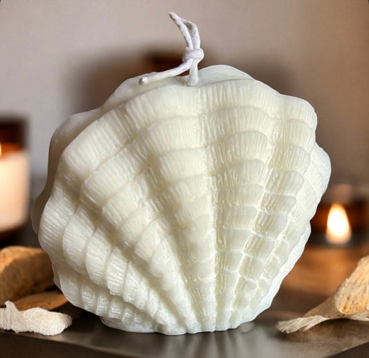 Wavy Shell