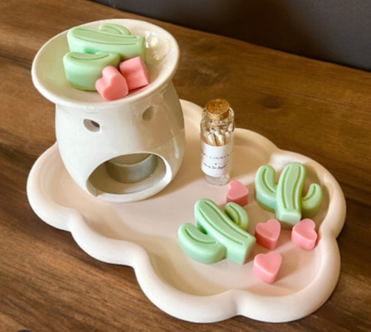 Cactus wax melts set