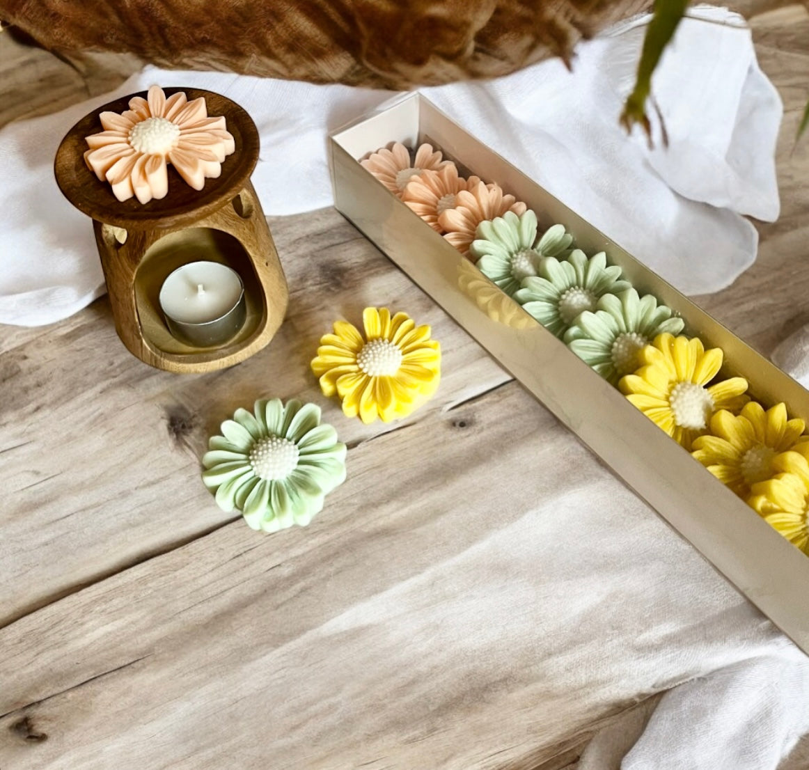 Daisy Wax Melts set